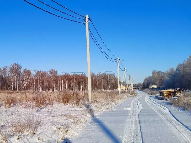 Участок в Новосибирская область, Новосибирский район, Станционный ... - Фото 0