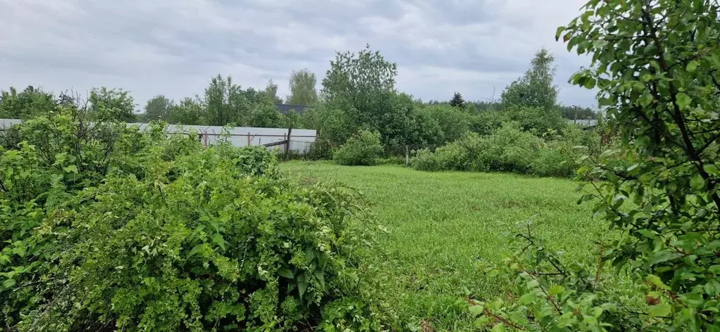 Участок в Тверская область, Конаковский муниципальный округ, ... - Фото 0