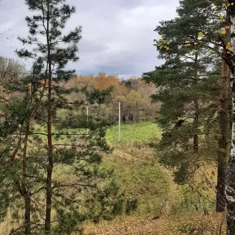 Участок в Московская область, Истра муниципальный округ, д. Лешково  ... - Фото 1