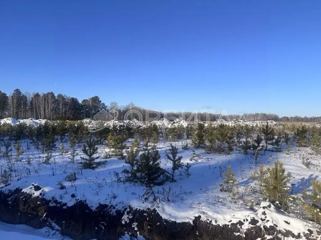 Участок в Тюменская область, Тюменский район, Новокаменский кп ул. ... - Фото 0