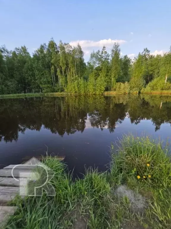 Участок в Московская область, Дмитровский муниципальный округ, ... - Фото 1