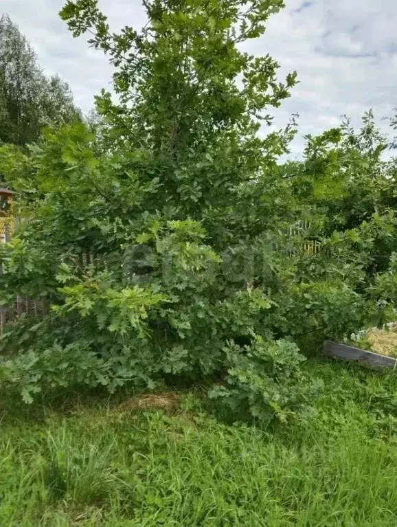Дом в Архангельская область, Архангельск Чайка СТ,  (25 м) - Фото 2