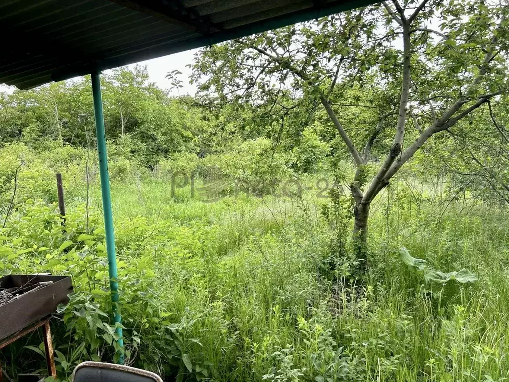 Участок в Ставропольский край, Пятигорск пл. Ленина (7.0 сот.) - Фото 2