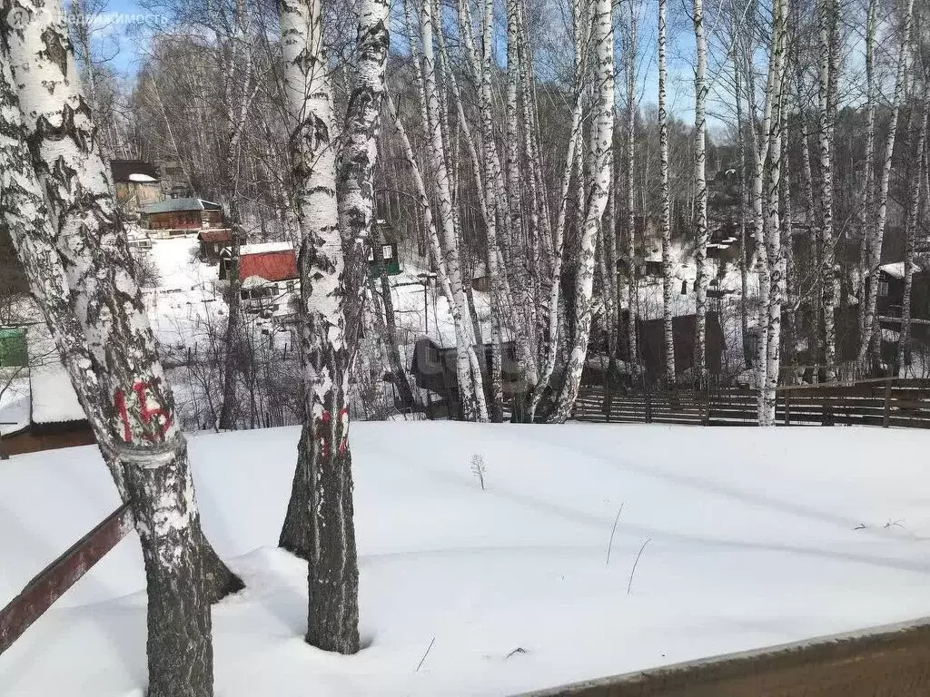 Участок в Новосибирск, садовое товарищество Труд, Горный спуск (7.12 ... - Фото 0