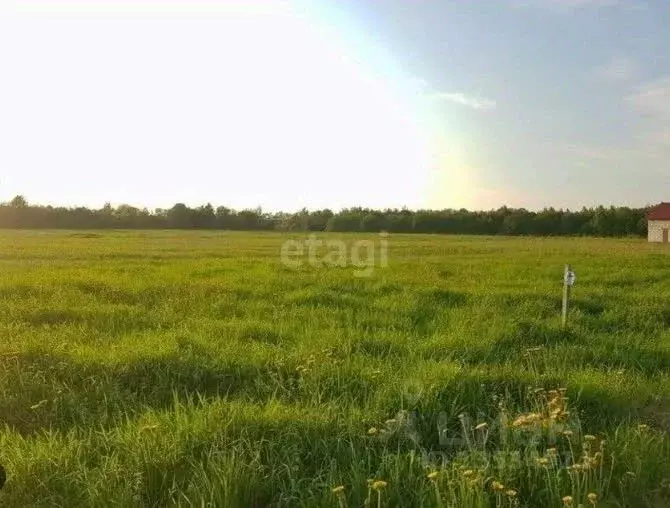 Участок в Алтайский край, Барнаул муниципальное образование, пос. ... - Фото 0