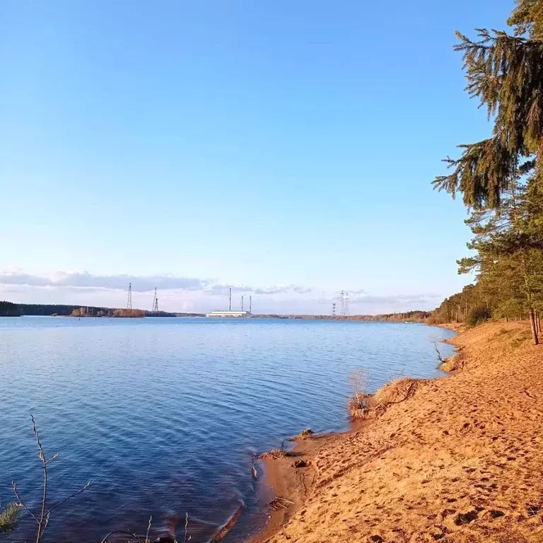 2-к кв. Тверская область, Конаково ул. Гагарина, 11 (47.0 м) - Фото 0