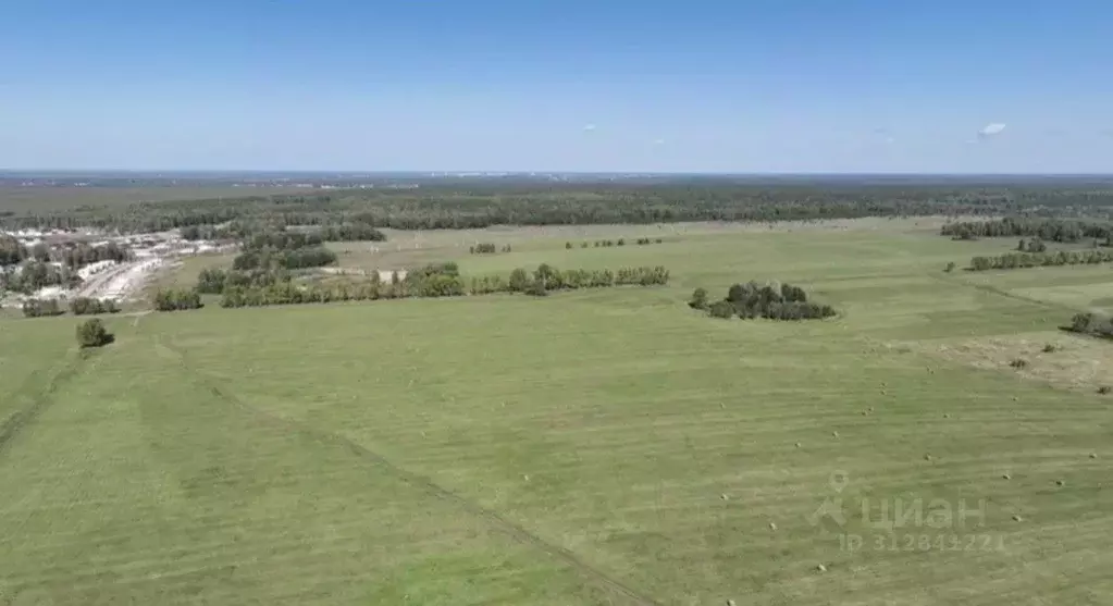 Участок в Алтайский край, Первомайский район, с. Фирсово Палитра жилой ... - Фото 2