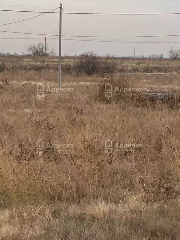 Участок в Волгоградская область, Волжский ул. Имени Марины Расковой ... - Фото 1