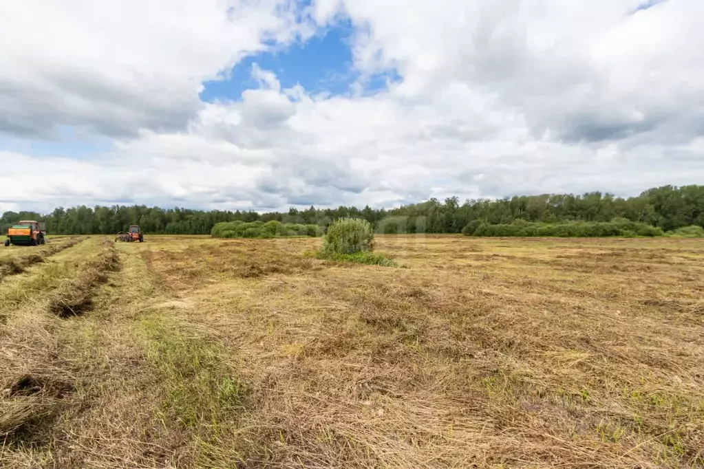 Участок в Тюменская область, Тюменский район, д. Елань  (8.19 сот.) - Фото 0