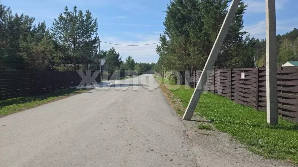 Участок в Новосибирская область, Новосибирский район, Кубовинский ... - Фото 2