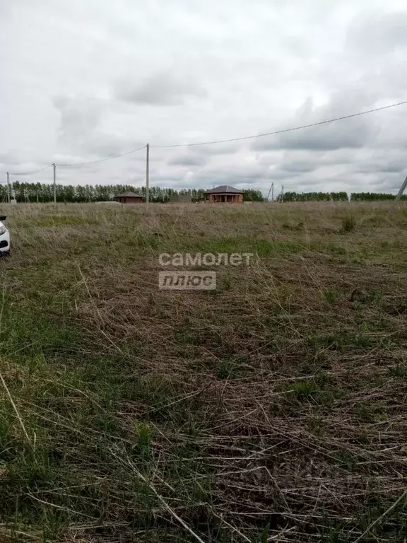 Участок в Башкортостан, Кушнаренковский сельсовет, с. Кушнаренково ул. ... - Фото 0