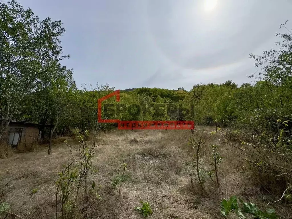 Участок в Севастополь с. Родниковское, ул. Степана Скитальца, 25 (20.0 ... - Фото 2