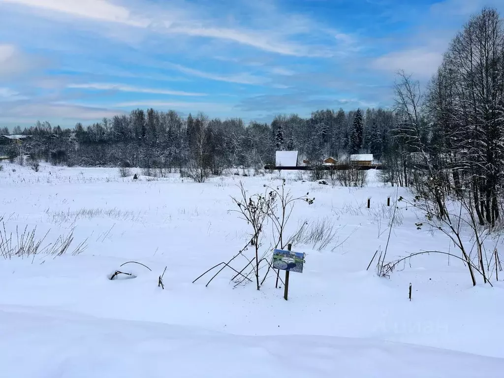 Участок в Московская область, Дмитровский муниципальный округ, Форест ... - Фото 1
