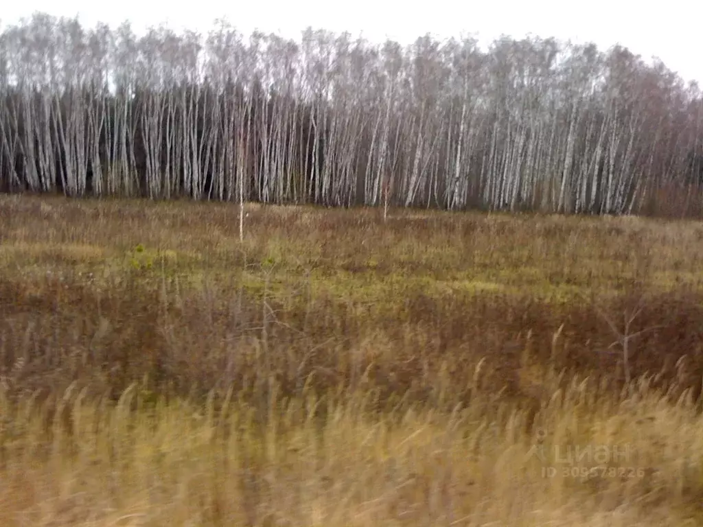 Участок в Московская область, Коломна городской округ, пос. ... - Фото 0