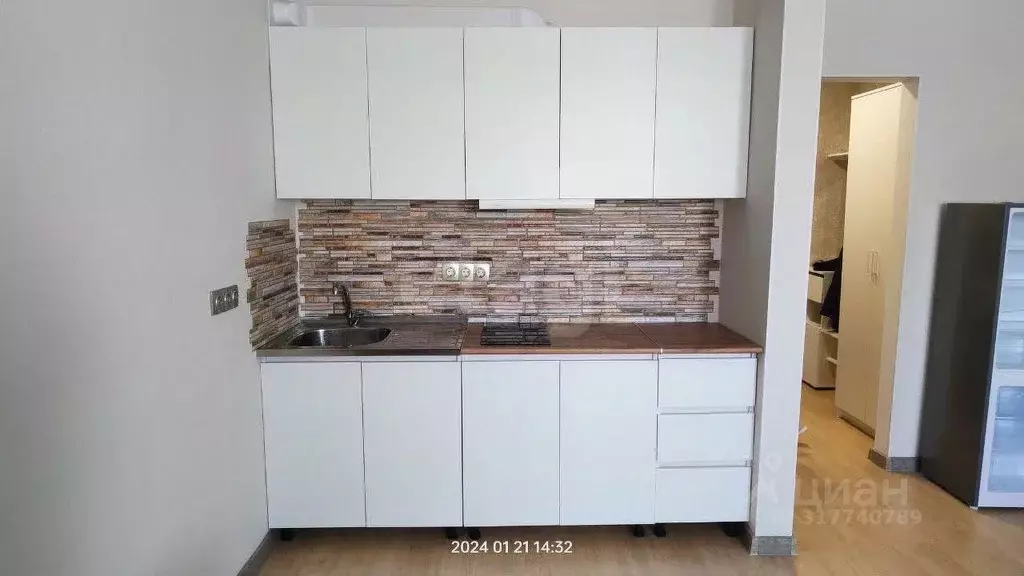 Студия Амурская область, Благовещенский район, с. Чигири ул. ... - Фото 1