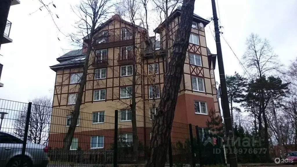 1-к кв. Калининградская область, Светлогорск Аптечная ул., 8 (76.0 м) - Фото 0