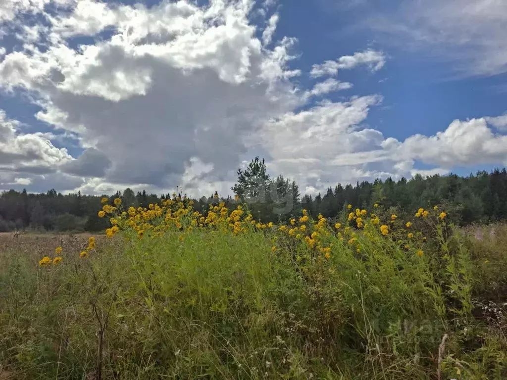 Участок в Свердловская область, Нижний Тагил Грунтовая ул. (11.0 сот.) - Фото 1