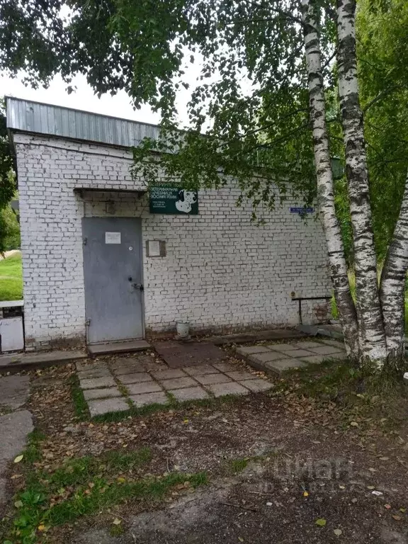 Помещение свободного назначения в Архангельская область, Мирный ул. ... - Фото 1