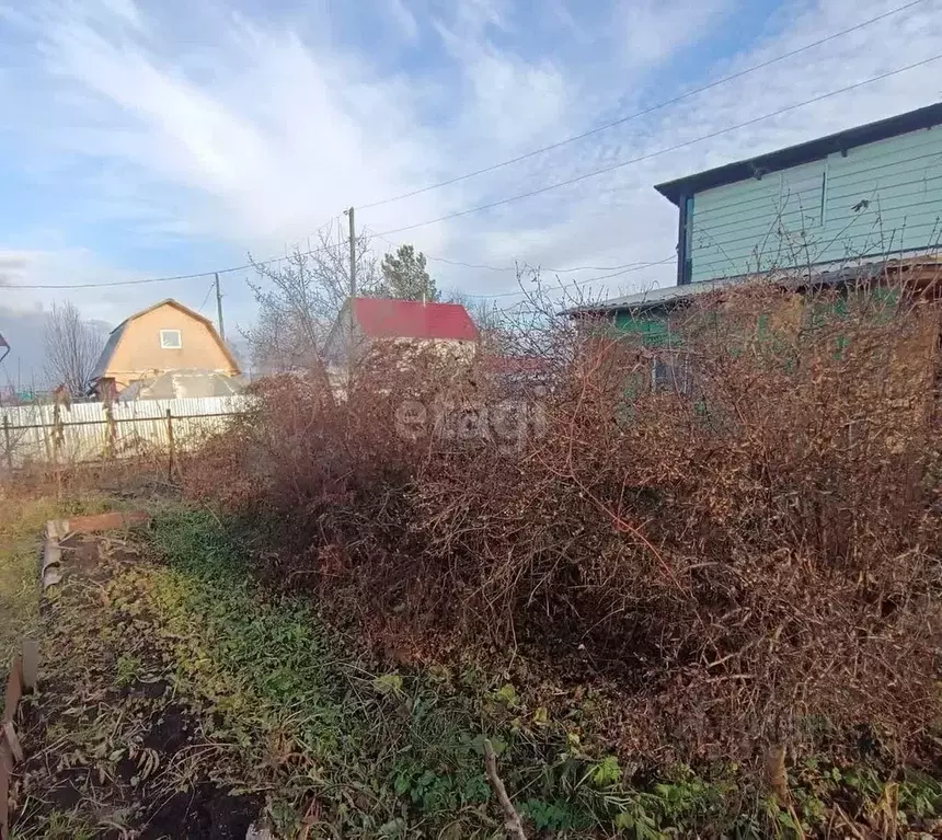 Дом в Новосибирская область, Новосибирский район, Новолуговской ... - Фото 1