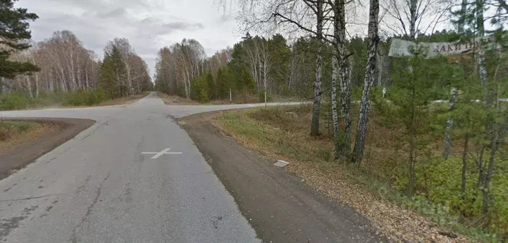 Участок в Новосибирская область, Новосибирский район, Кубовинский ... - Фото 1