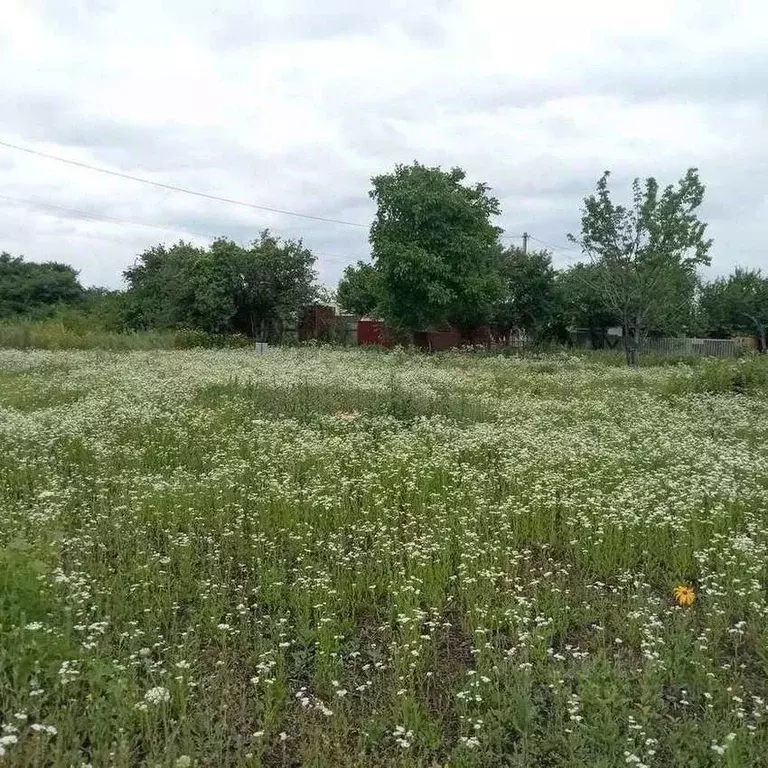 Участок в Белгородская область, Белгородский муниципальный округ, с. ... - Фото 2