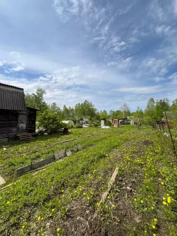 Дом в Хабаровский край, Хабаровский район, с. Черная Речка, Авангард ... - Фото 1