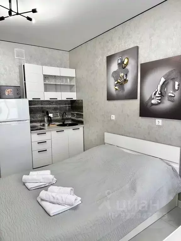 Студия Адыгея, Майкоп ул. К.А. Васильева, 2к2 (20.0 м) - Фото 2