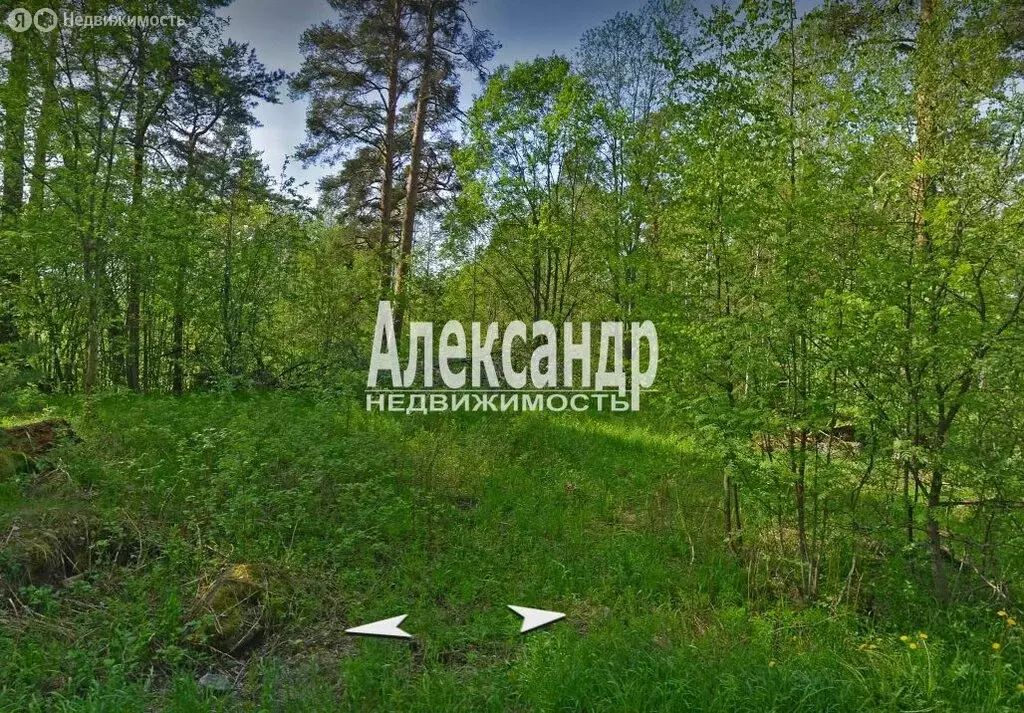 Участок в Приозерский район, Ларионовское сельское поселение, посёлок ... - Фото 1