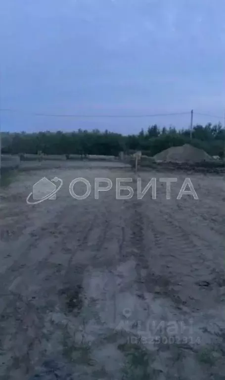 Участок в Тюменская область, Тюмень Царево садовое товарищество, ул. ... - Фото 1