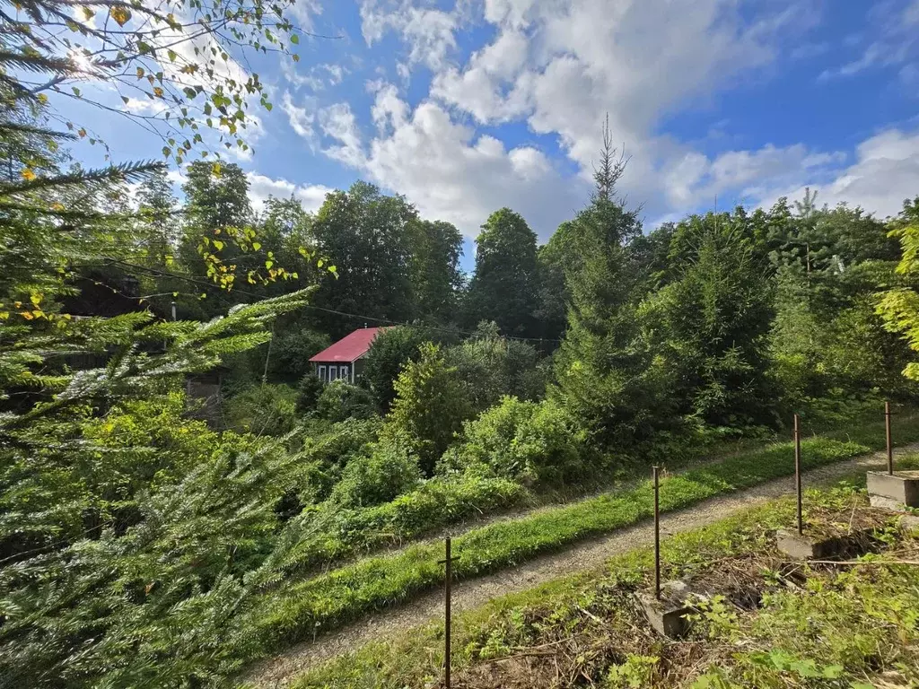 Участок в Ленинградская область, Гатчинский муниципальный округ, ... - Фото 1