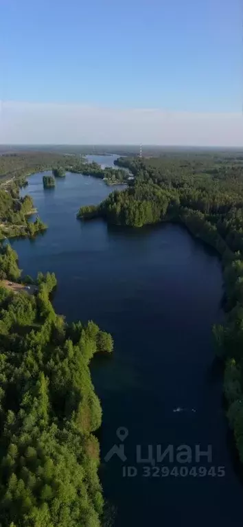 Участок в Ленинградская область, Кировский район, Мгинское городское ... - Фото 1