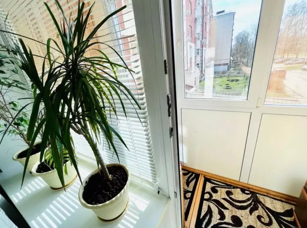 1-к кв. Мордовия, Саранск Мордовская ул., 35к201 (34.0 м) - Фото 2