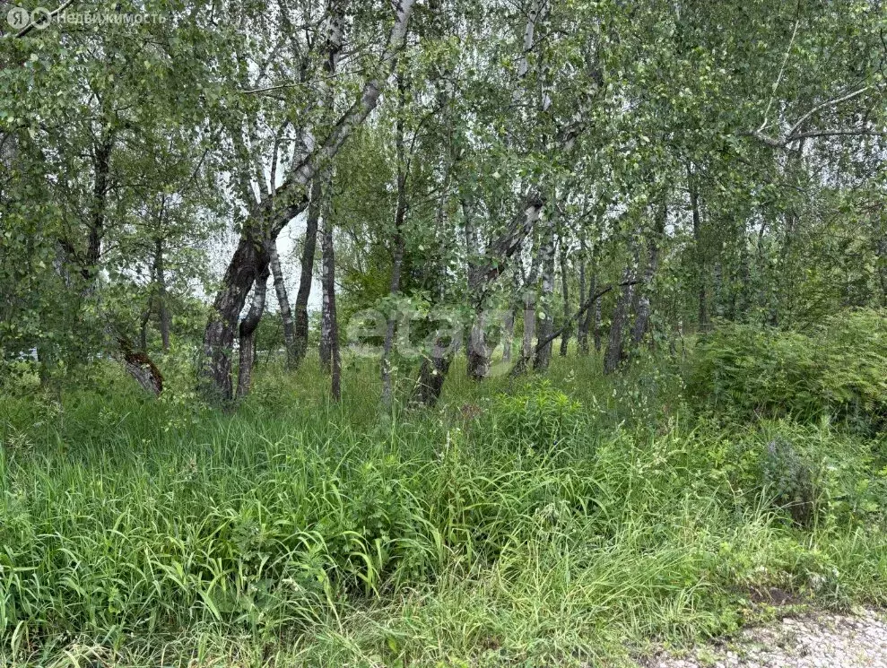 Участок в Московская область, городской округ Серпухов, деревня ... - Фото 2