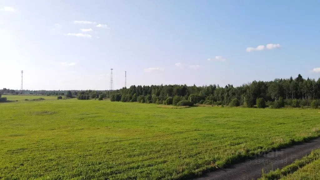 Участок в Московская область, Дмитровский муниципальный округ, Усадьбы ... - Фото 1
