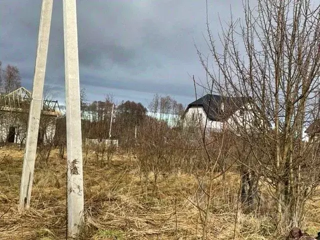 Участок в Калининградская область, Зеленоградский муниципальный округ, ... - Фото 1