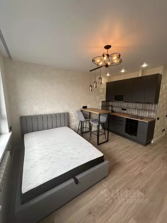 Студия Московская область, Люберцы ул. Гоголя, 3 (30.0 м) - Фото 2