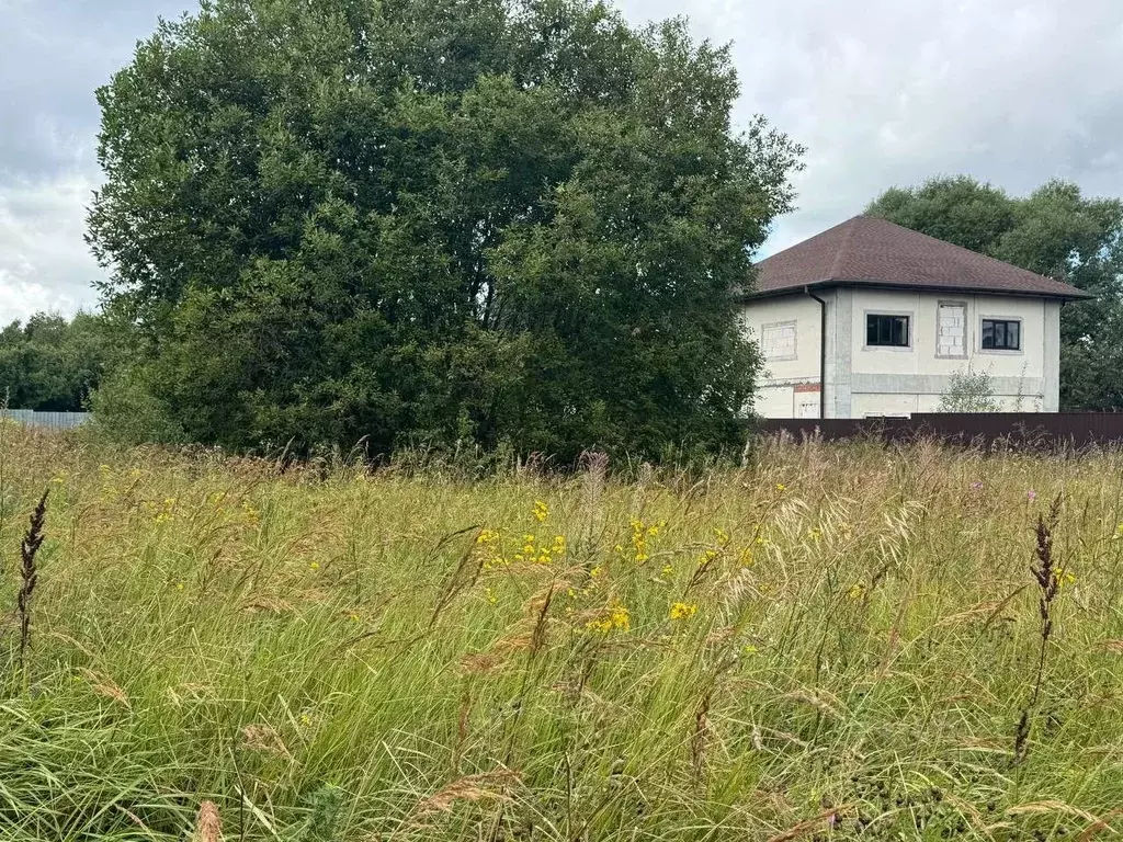 Участок в Московская область, Богородский городской округ, д. Тимохово ... - Фото 1