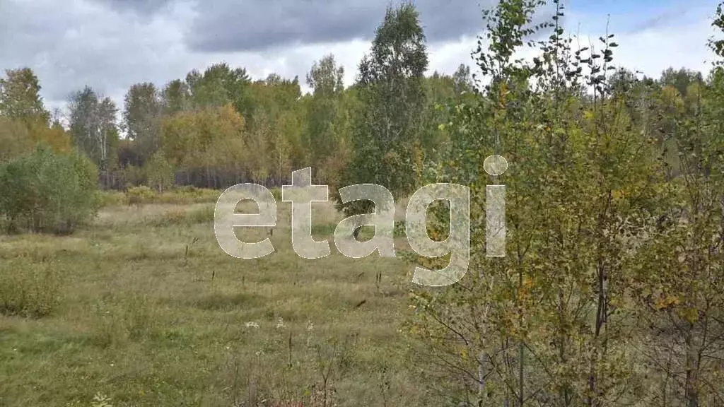 Участок в Тюменская область, Тюменский район, д. Пышминка  (15.0 сот.) - Фото 0