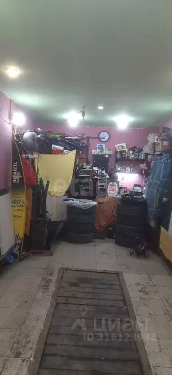 Гараж в Свердловская область, Нижний Тагил Черноисточинское ш., 72 (23 ... - Фото 1