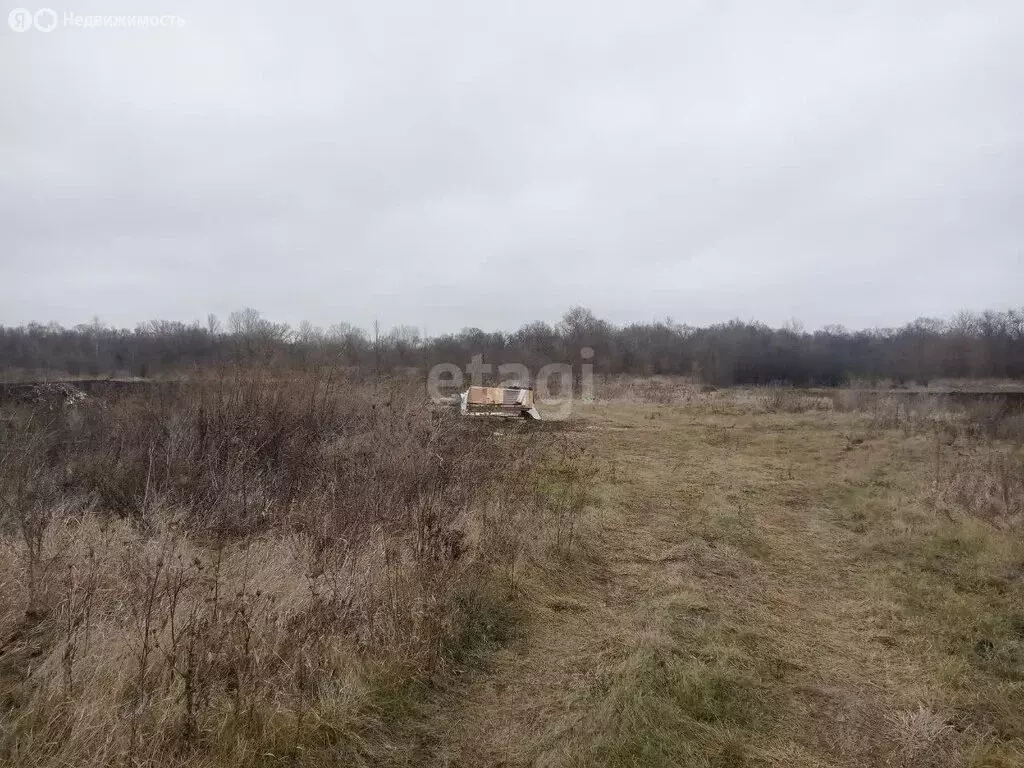 Участок в Волоконовский район, село Ютановка (15 м) - Фото 1