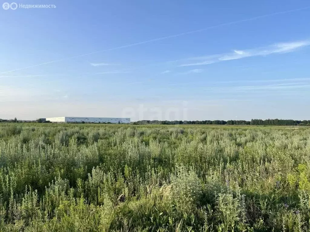 Участок в Котовск, Хрустальная улица (7.2 м) - Фото 2