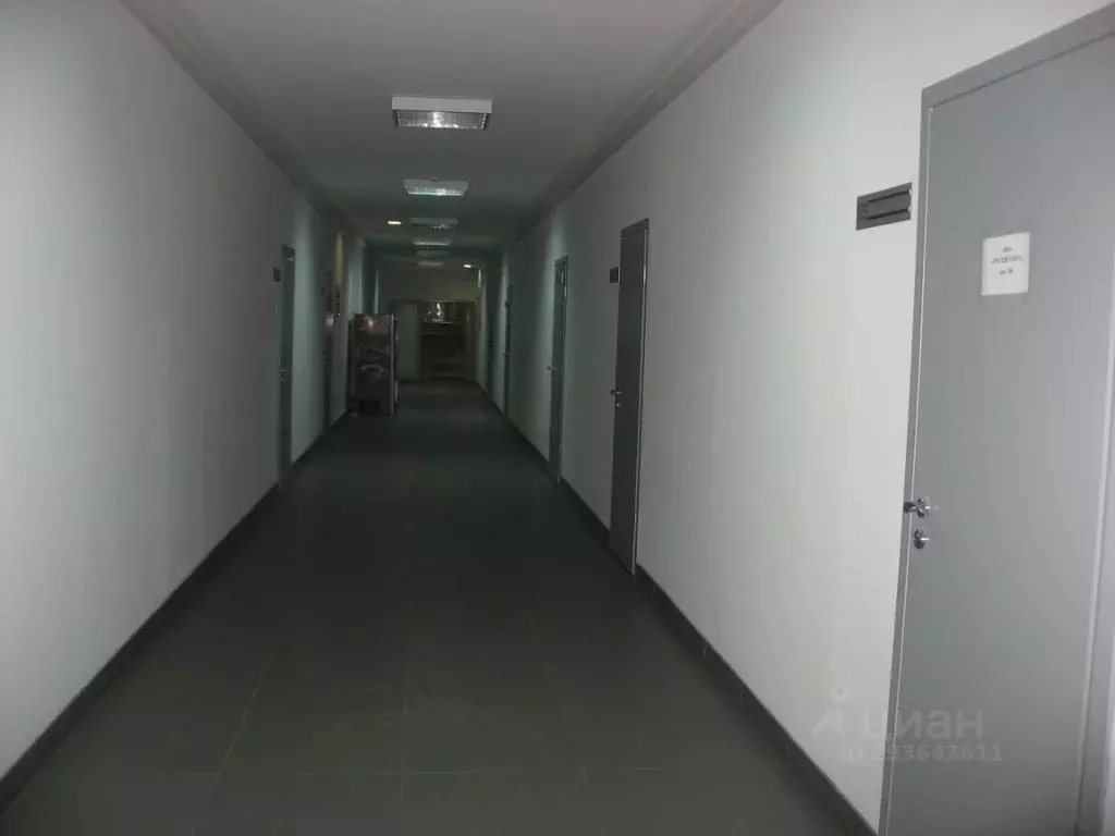 Офис в Пермский край, Пермь ул. Тургенева, 33Ас1 (24 м) - Фото 2