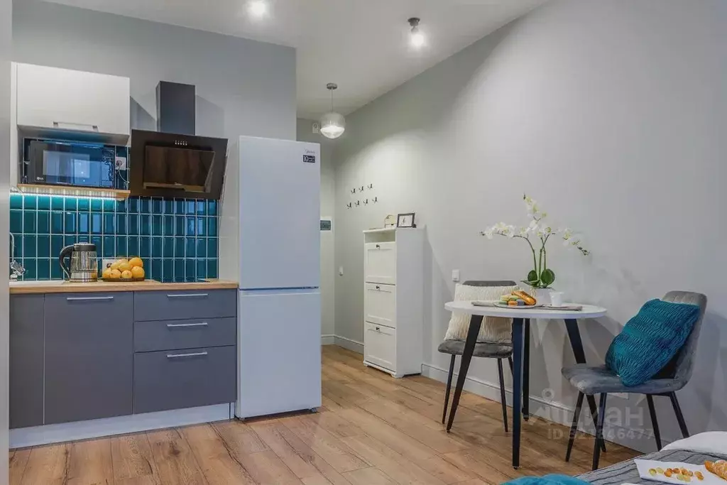 Студия Санкт-Петербург ул. Шкапина, 22 (25.0 м) - Фото 2