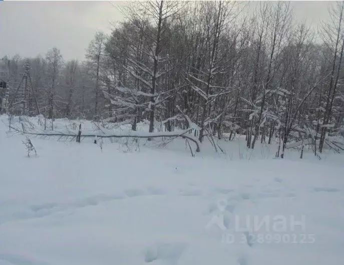Участок в Московская область, Дмитровский муниципальный округ, д. ... - Фото 1
