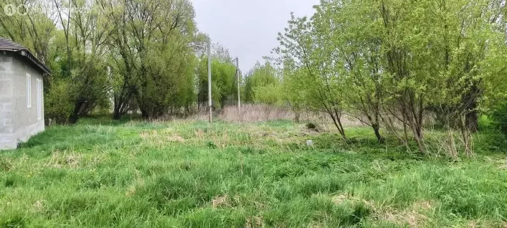 Участок в Калининградская область, Гурьевский муниципальный округ, ... - Фото 0