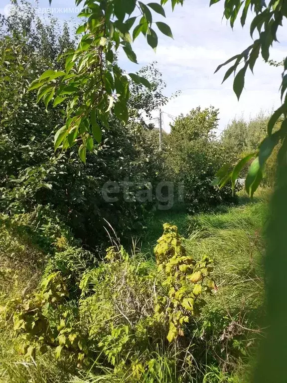 Участок в Калининград, СТ Дружба-Девау, улица Надежды (4.92 м) - Фото 2