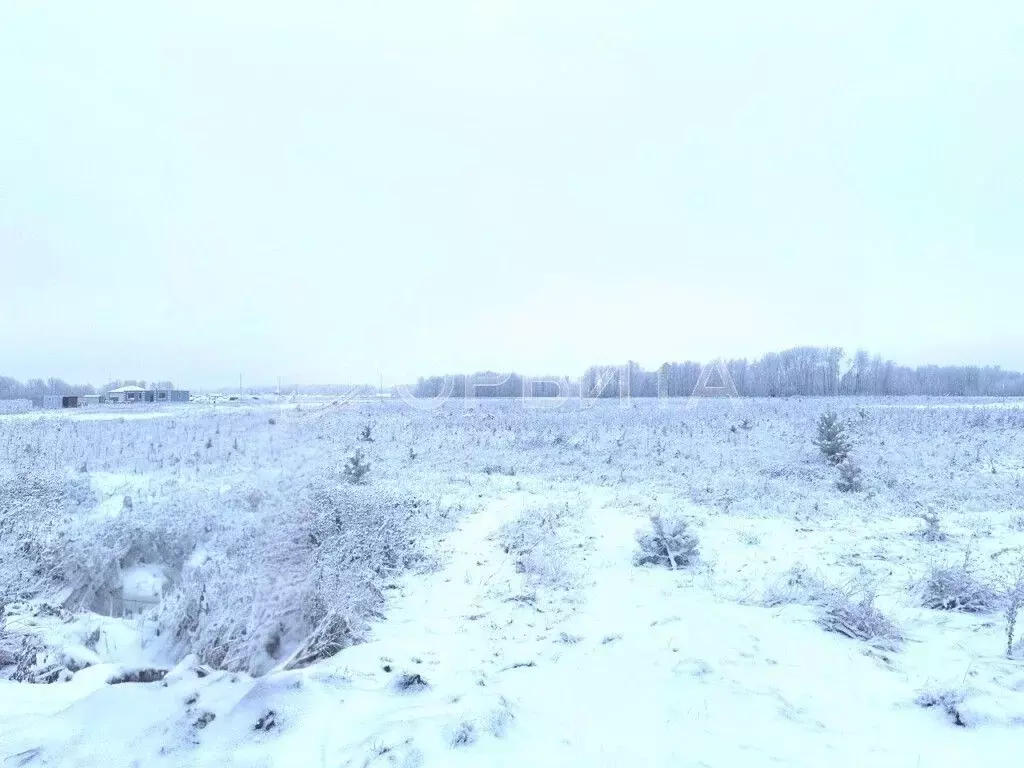 Участок в Тюменская область, Тюменский муниципальный округ, ... - Фото 2