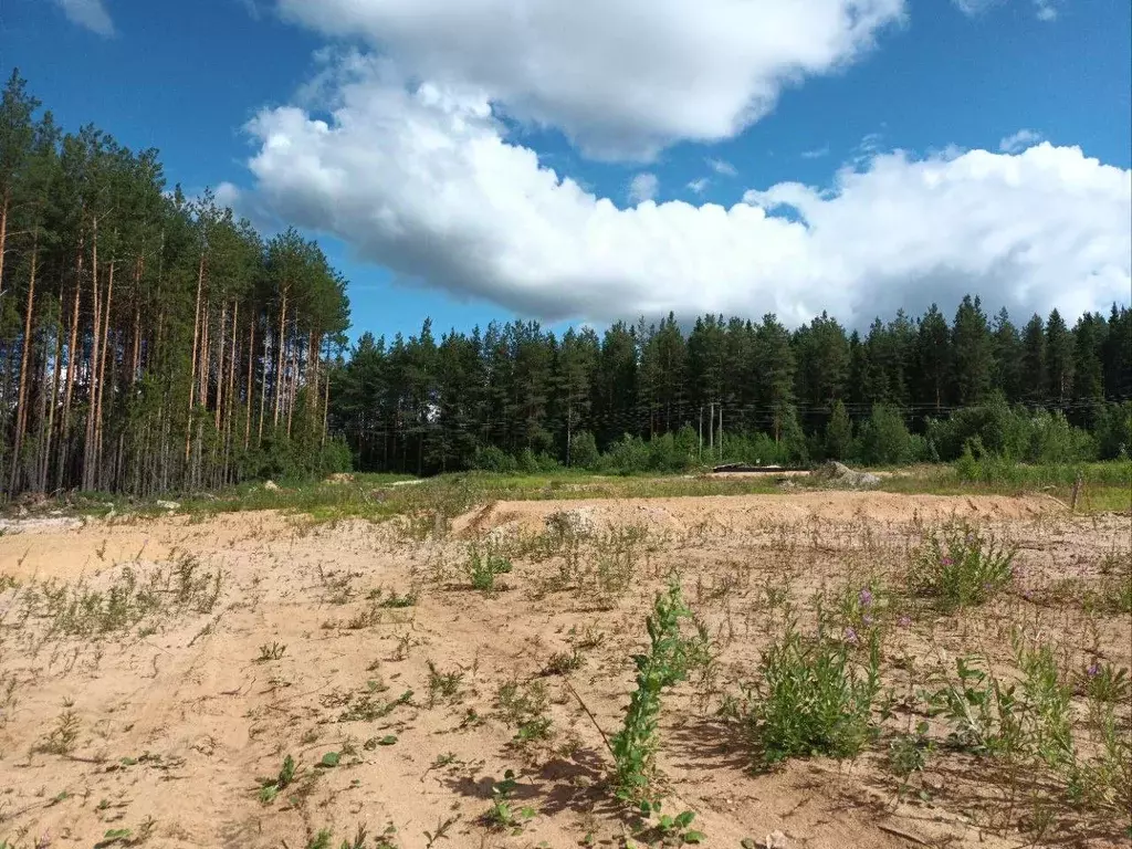 участок в коми, сыктывкар городской округ, краснозатонский пгт ул. . - Фото 0