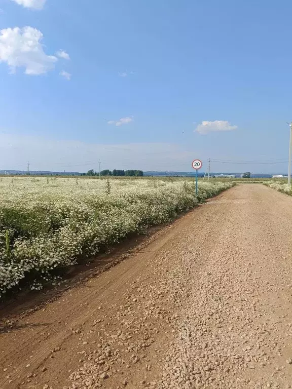 Участок в Пермский край, д. Мокино ул. Рябиновая (8.0 сот.) - Фото 0