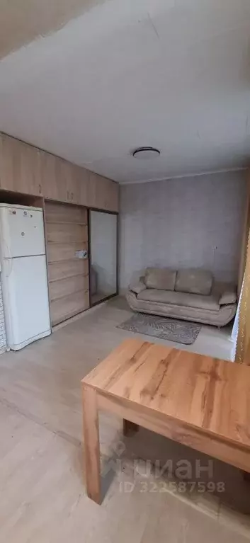 Студия Омская область, Омск Краснопресненская ул., 1 (27.3 м) - Фото 2